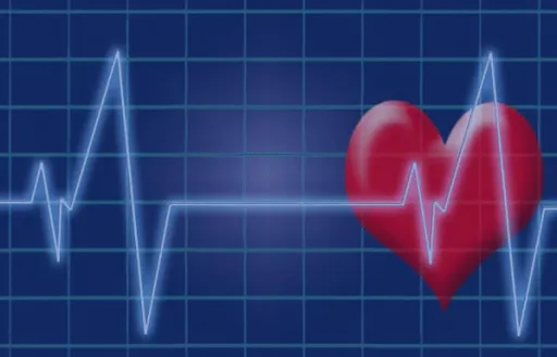 Health Link: Oral Hygiene and Heart Disease | Terrell Dentist