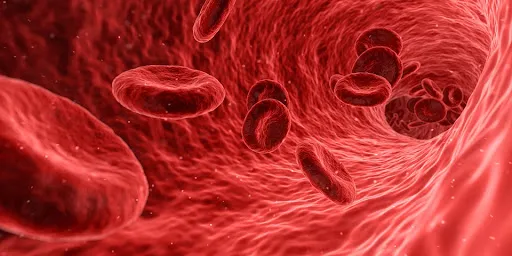 Blood Thinners and Oral Surgery | Dentist Near Me